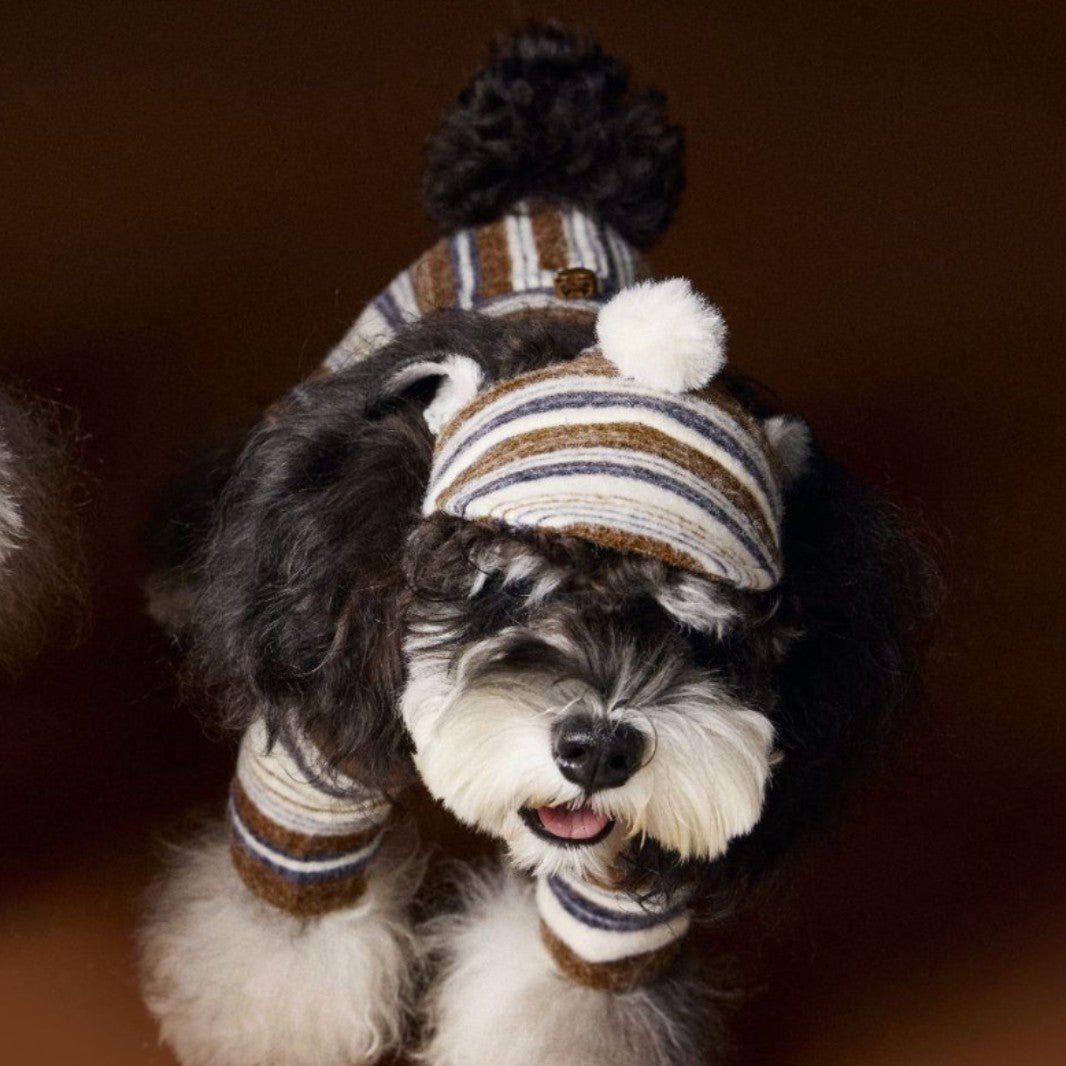 Pet Accessories Striped Fur Ball Hat - SUPERNEOVONAMy Store 4