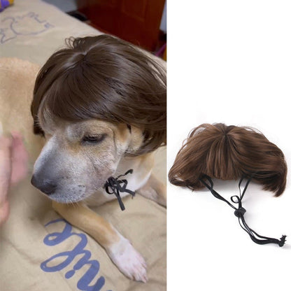 Halloween Christmas Wig Pet Hair Accessories - SUPERNEOVONAMy Store 4