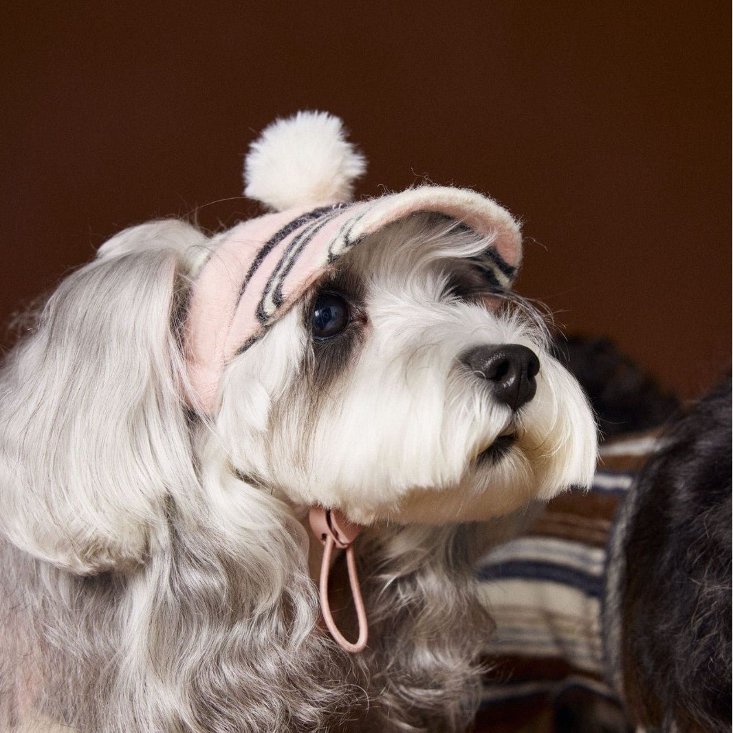 Pet Accessories Striped Fur Ball Hat - SUPERNEOVONAMy Store 4