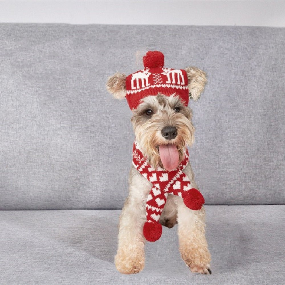 Pet Cat Dog Knitting Christmas Scarf Accessories - SUPERNEOVONAMy Store 4