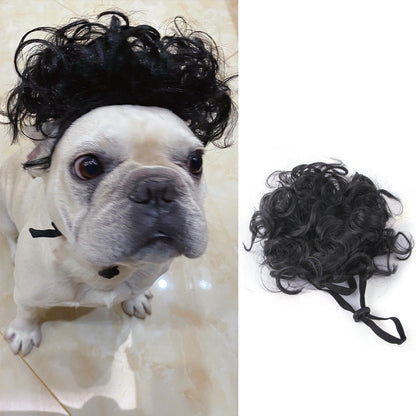 Halloween Christmas Wig Pet Hair Accessories - SUPERNEOVONAMy Store 4