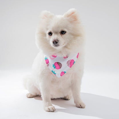 Pet Cat Dog Clothing Accessories - SUPERNEOVONAMy Store 4