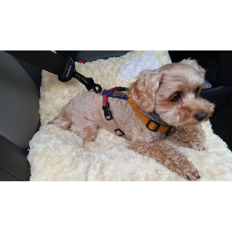Pet Car Safety Buckle Car Accessories Holder - SUPERNEOVONAMy Store 4