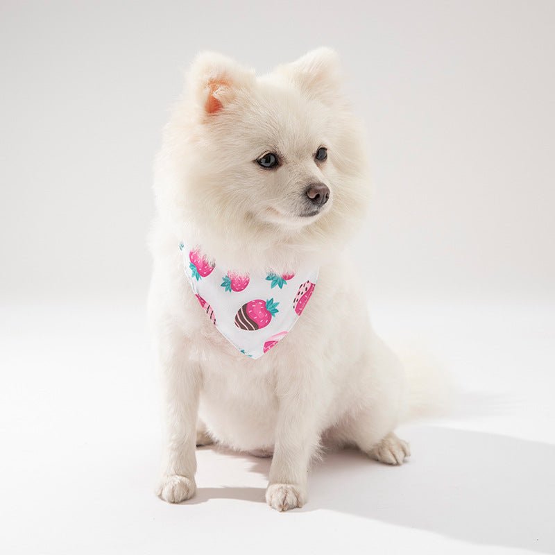 Pet Cat Dog Clothing Accessories - SUPERNEOVONAMy Store 4