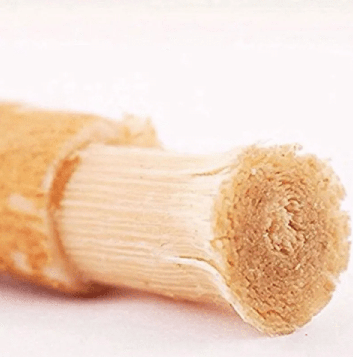 Miswak Tooth Cleaning Stick - SUPERNEOVONASUPERNEOVONA